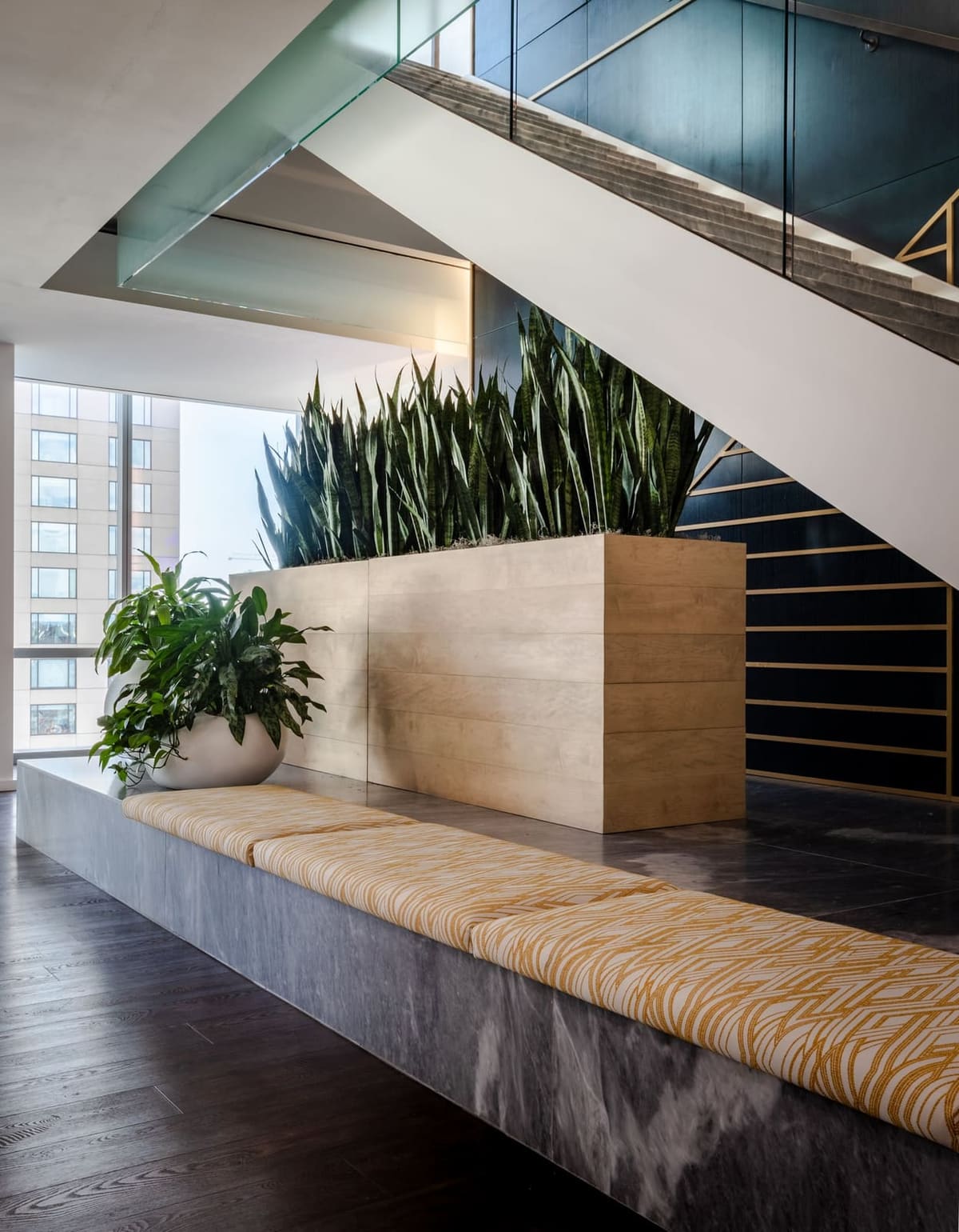 Built-in wood bench below a long planter of snake plants under the stair